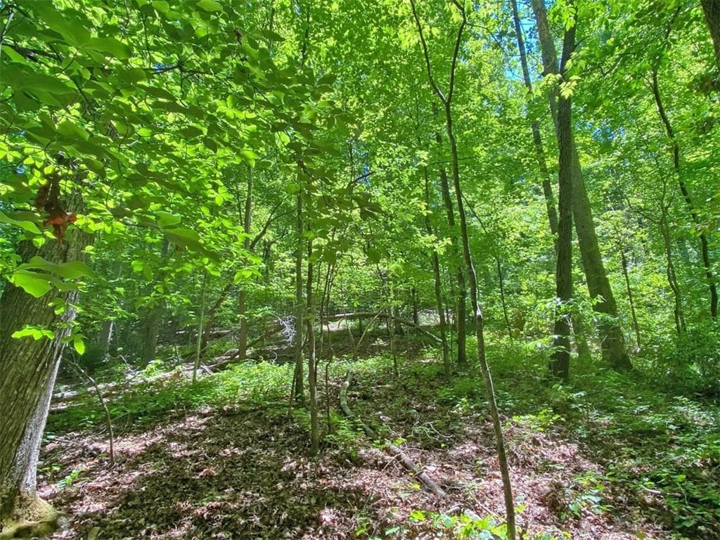 unimproved land for sale at 0 Hickory Nut Trail, Dahlonega, GA 30533 — photo 9