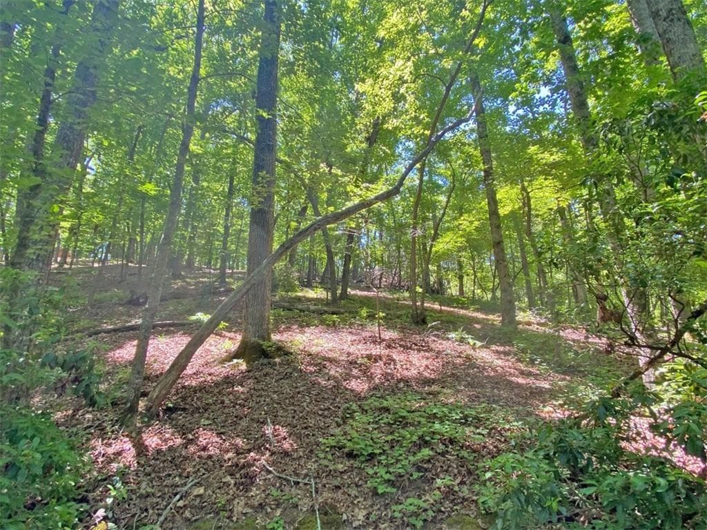 unimproved land for sale at 0 Hickory Nut Trail, Dahlonega, GA 30533 — photo 10