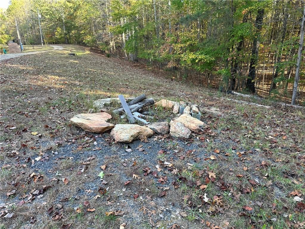 unimproved land for sale at 1806 Browning Road, Rockmart, GA 30153 — photo 5