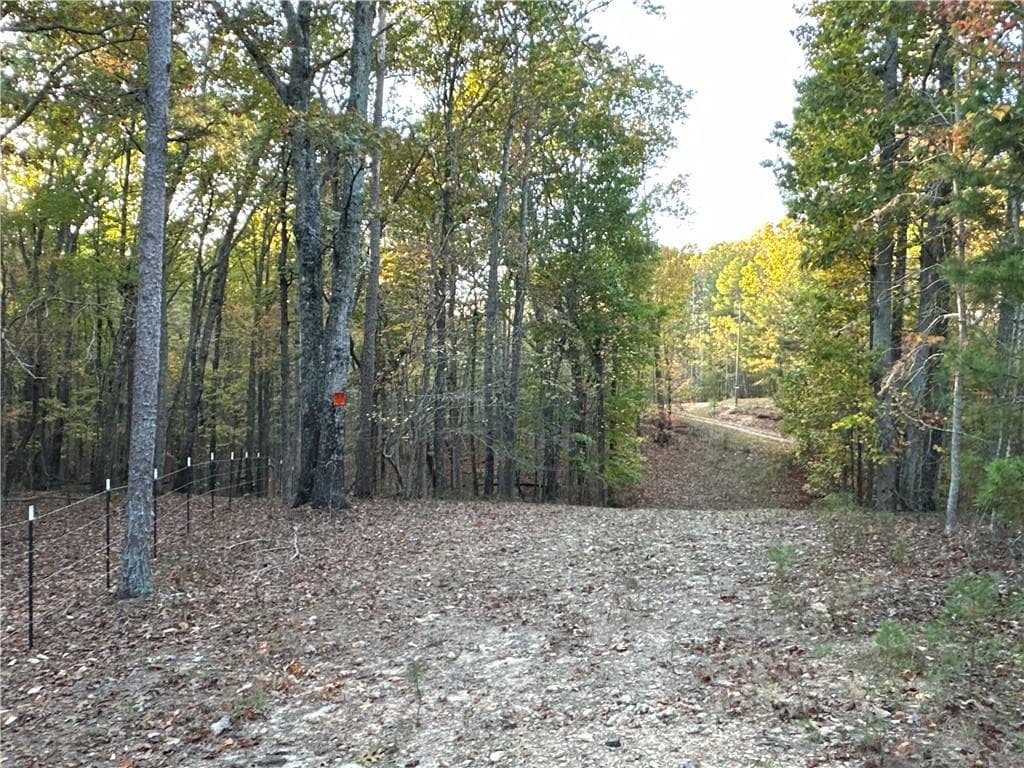 unimproved land for sale at 1806 Browning Road, Rockmart, GA 30153 — photo 7