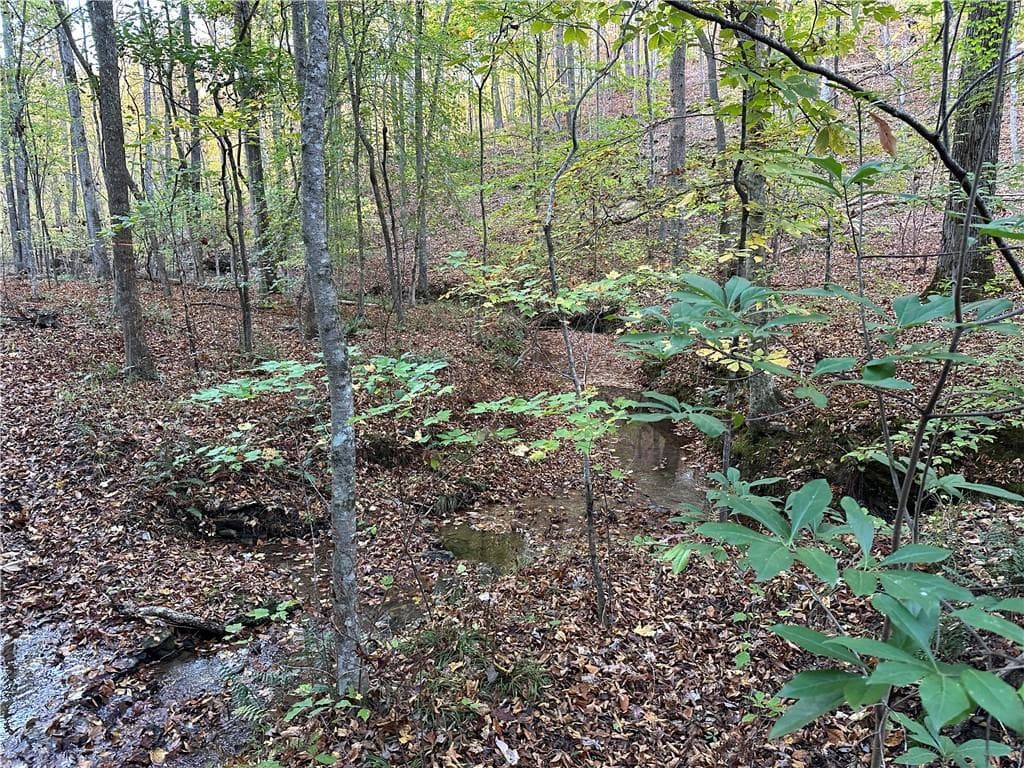 unimproved land for sale at 1806 Browning Road, Rockmart, GA 30153 — photo 8
