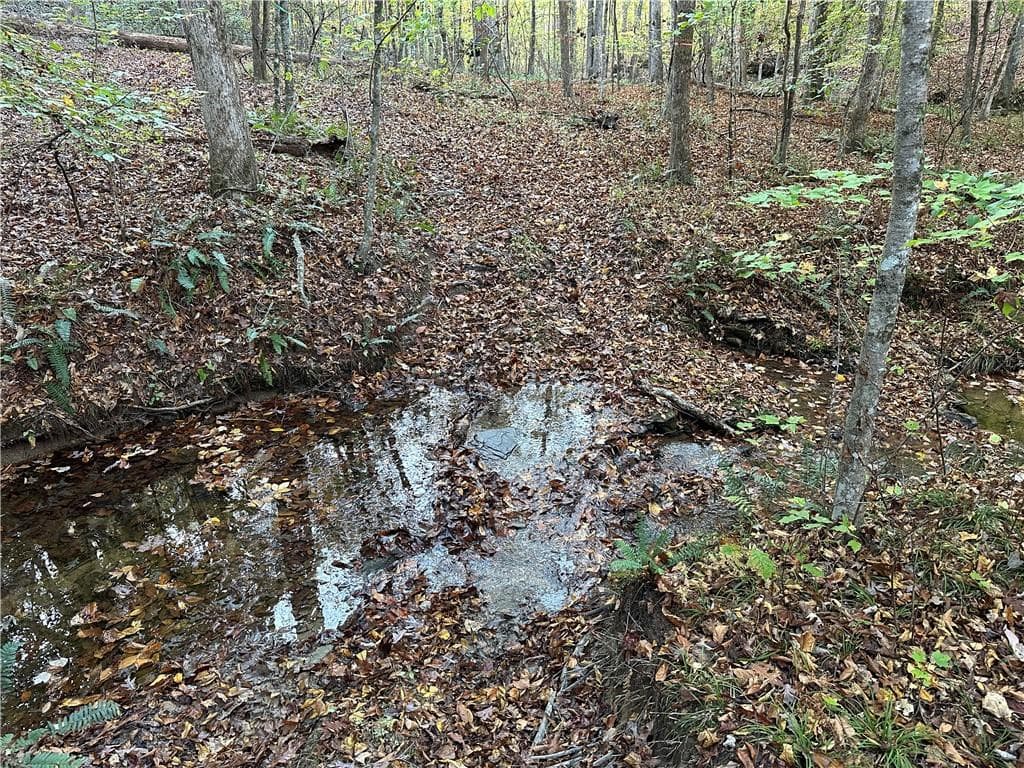 unimproved land for sale at 1806 Browning Road, Rockmart, GA 30153 — photo 9