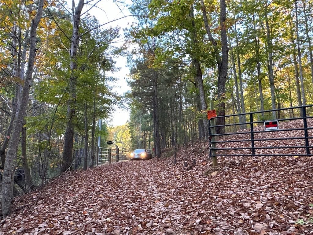 unimproved land for sale at 1806 Browning Road, Rockmart, GA 30153 — photo 10