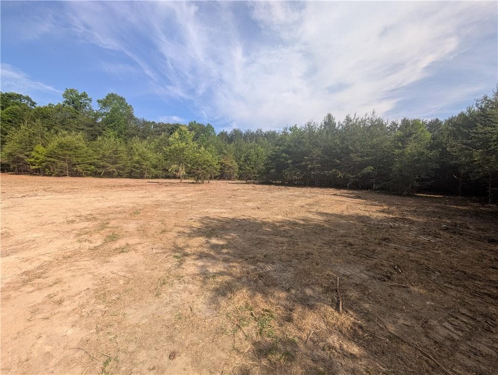multi family for sale at 0 OLD HWY 75 S, Cleveland, GA 30528 — photo 3