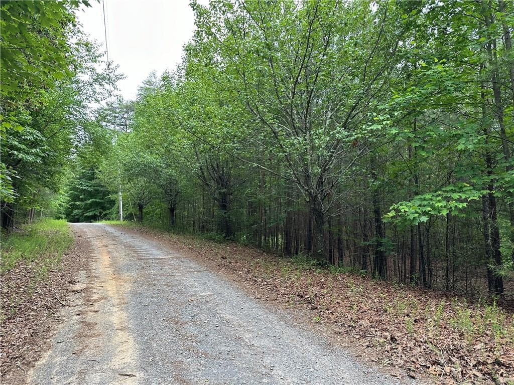 other for sale at 585 Galaxy Way, Ranger, GA 30734 — photo 1 of 19