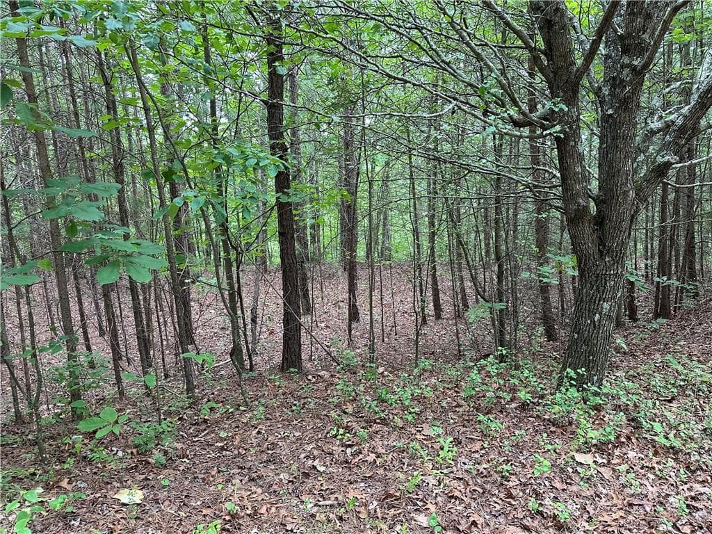 other for sale at 585 Galaxy Way, Ranger, GA 30734 — photo 3
