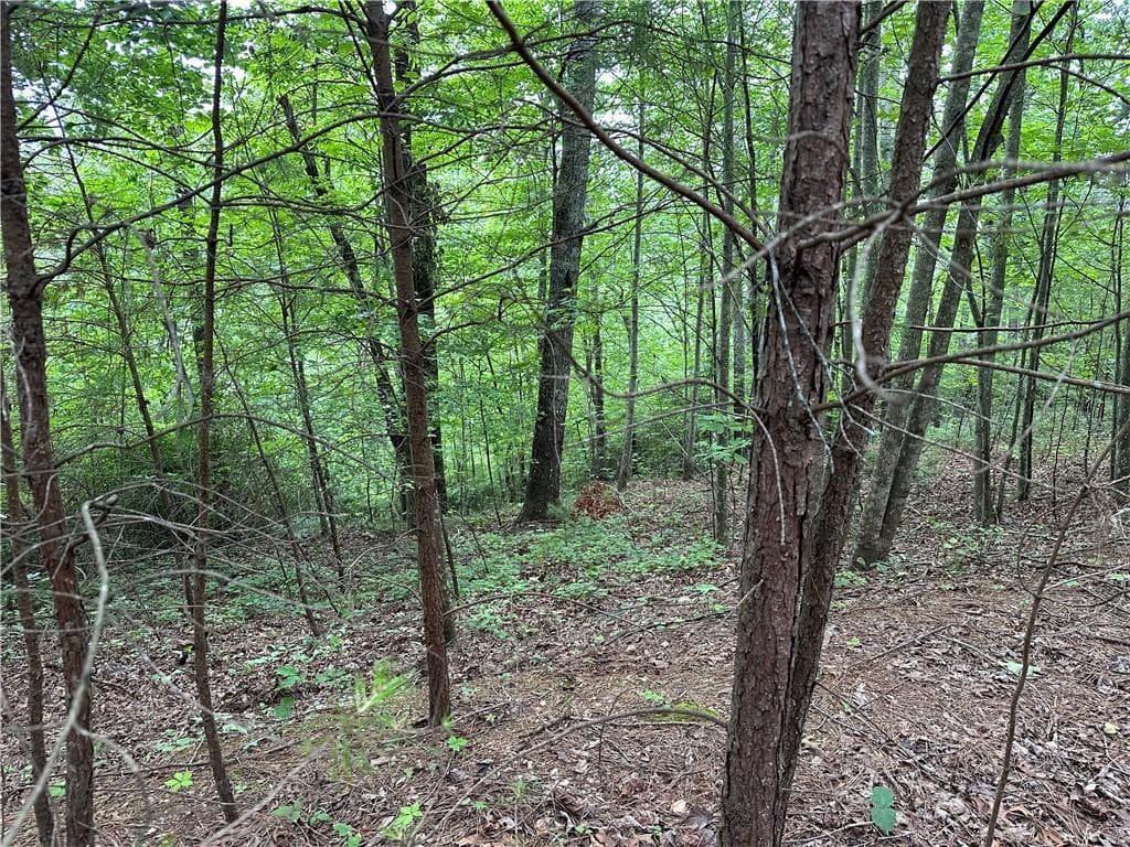 other for sale at 585 Galaxy Way, Ranger, GA 30734 — photo 5