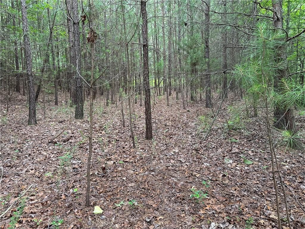 other for sale at 585 Galaxy Way, Ranger, GA 30734 — photo 6
