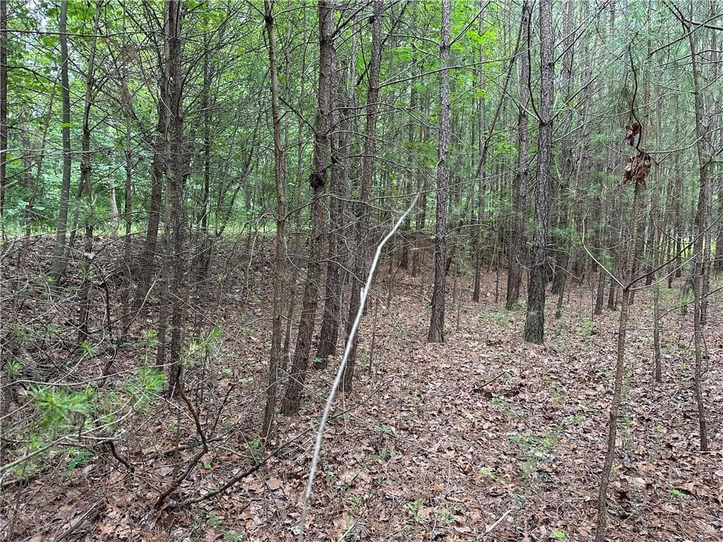other for sale at 585 Galaxy Way, Ranger, GA 30734 — photo 7