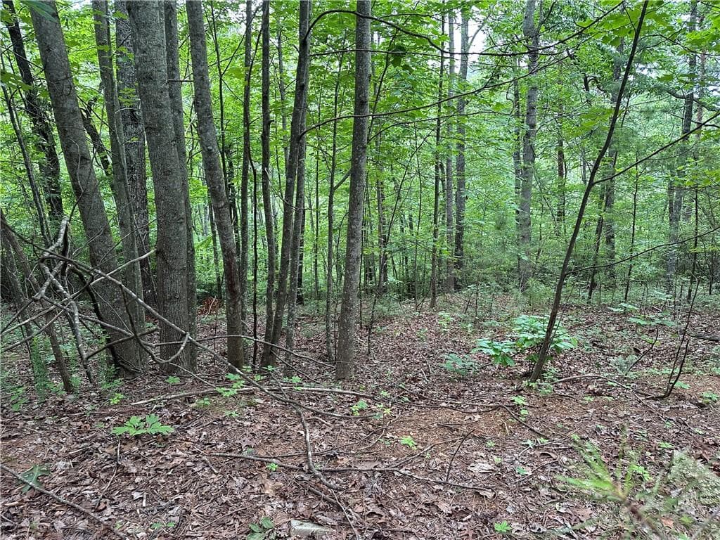 other for sale at 585 Galaxy Way, Ranger, GA 30734 — photo 8
