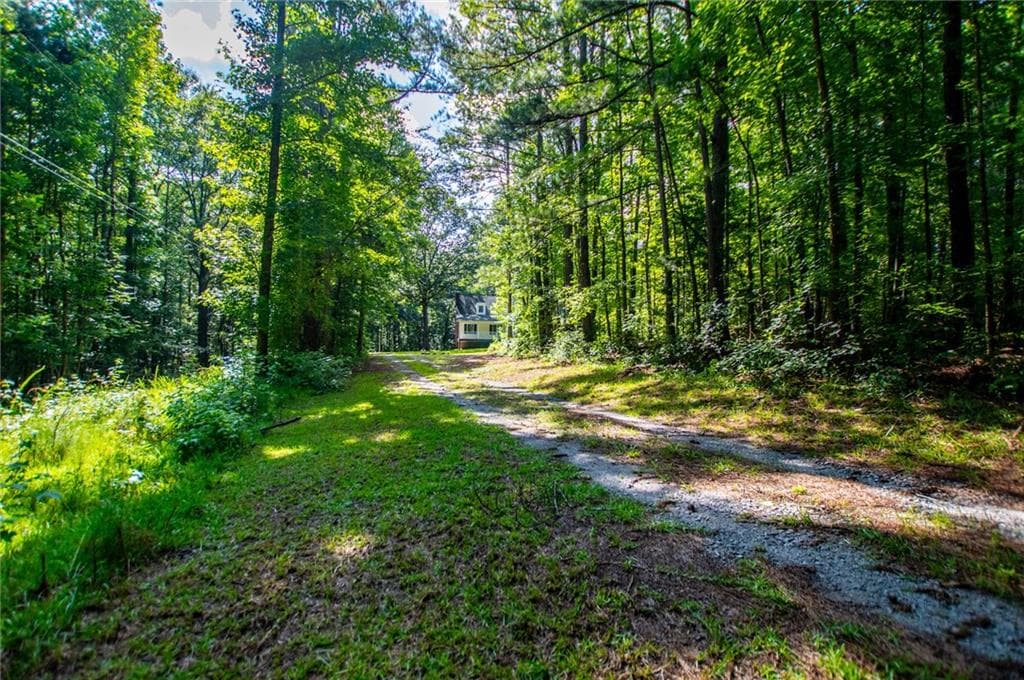 4 bedroom, 3 bathroom, 2,734 sq ft single family residence under contract at 8291 Highway 5, Whitesburg, GA 30185 — photo 4