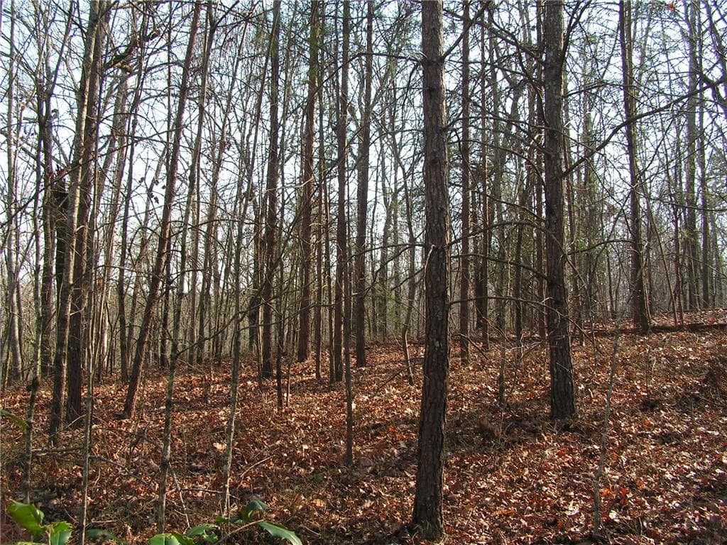 unimproved land for sale at 0 Mount Pleasant Church Road, Cleveland, GA 30528 — photo 1 of 7