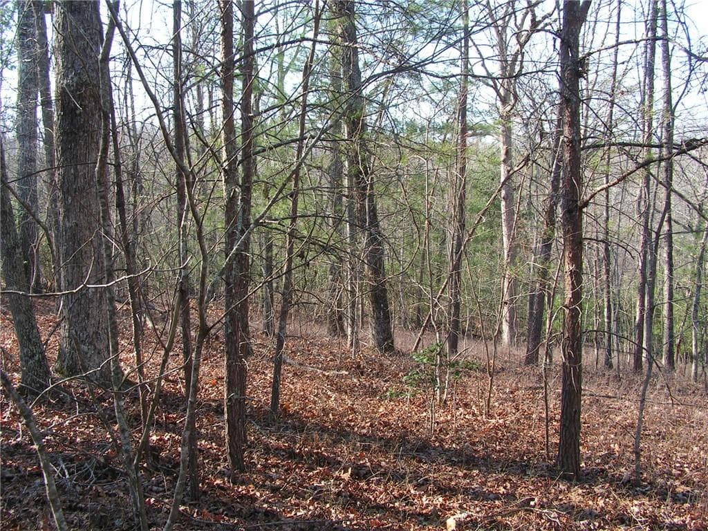unimproved land for sale at 0 Mount Pleasant Church Road, Cleveland, GA 30528 — photo 2