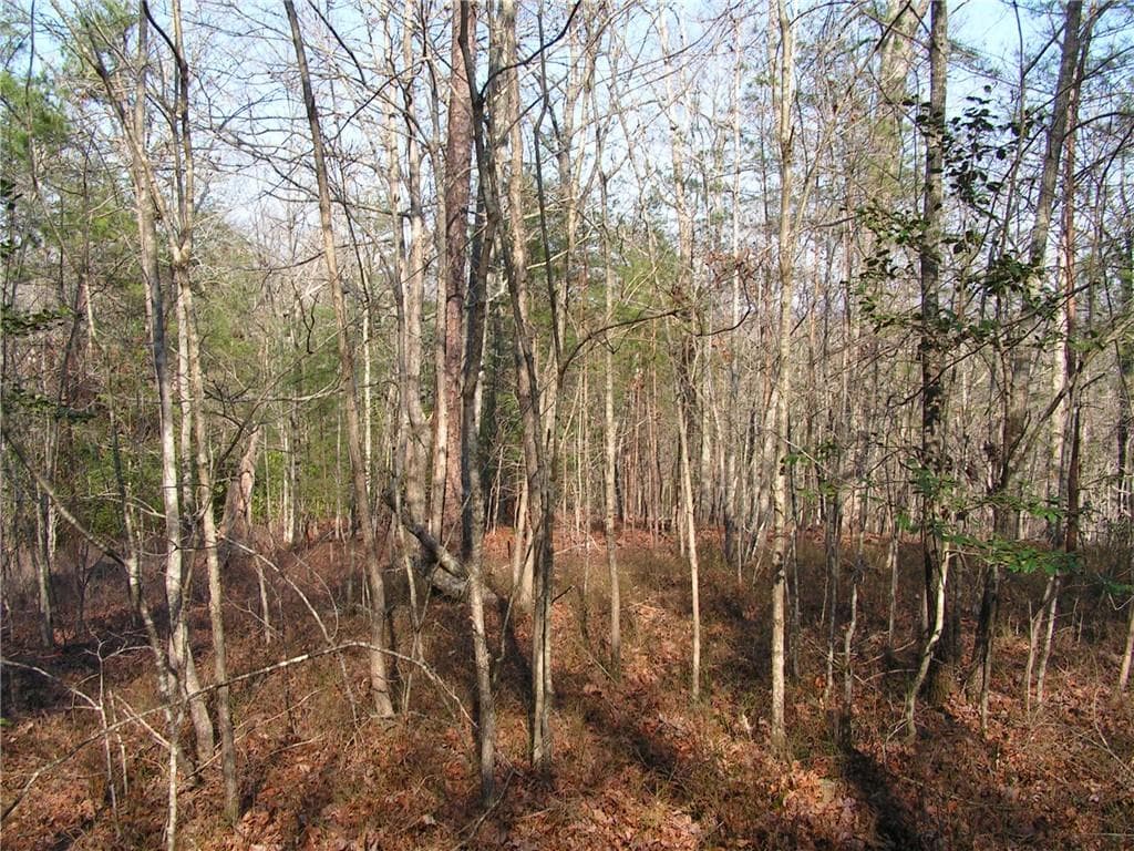 unimproved land for sale at 0 Mount Pleasant Church Road, Cleveland, GA 30528 — photo 3