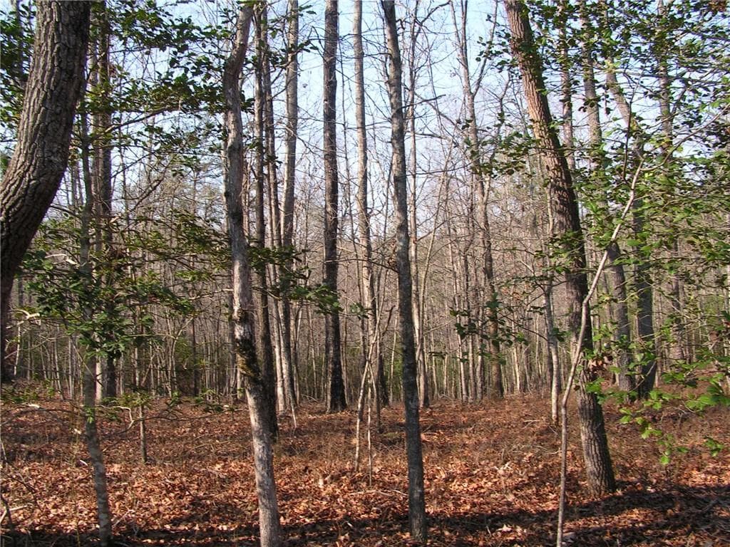 unimproved land for sale at 0 Mount Pleasant Church Road, Cleveland, GA 30528 — photo 4