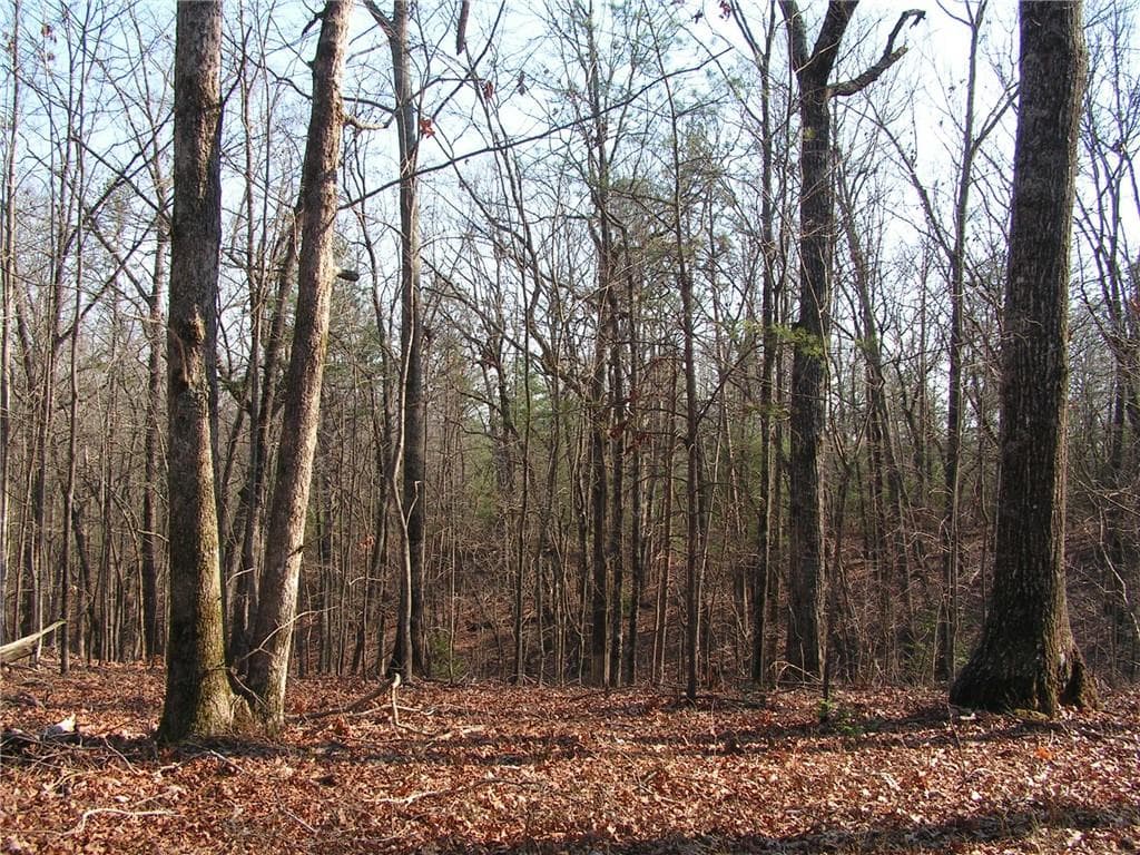 unimproved land for sale at 0 Mount Pleasant Church Road, Cleveland, GA 30528 — photo 5