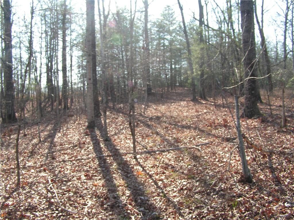 unimproved land for sale at 0 Mount Pleasant Church Road, Cleveland, GA 30528 — photo 6