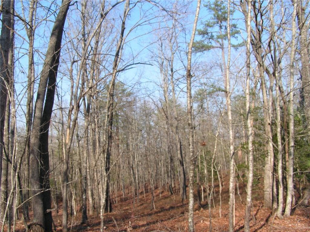 unimproved land for sale at 0 Mount Pleasant Church Road, Cleveland, GA 30528 — photo 7