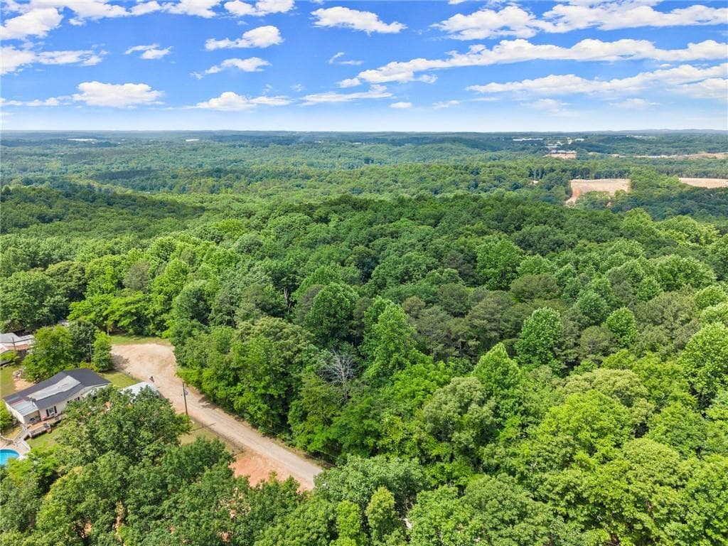 unimproved land for sale at 2114 Microwave Tower Road, Gainesville, GA 30507 — photo 7