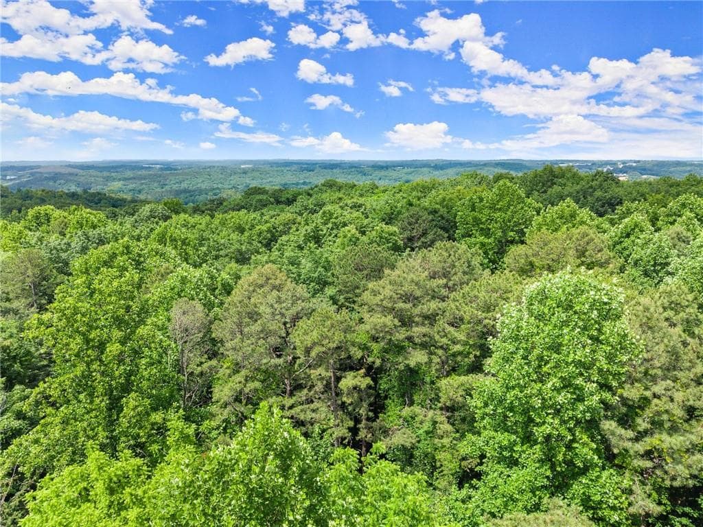 unimproved land for sale at 2114 Microwave Tower Road, Gainesville, GA 30507 — photo 8