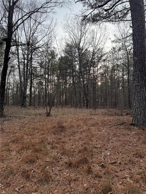 other for sale at 3744 Morton Bend Road, Rome, GA 30161 — photo 2