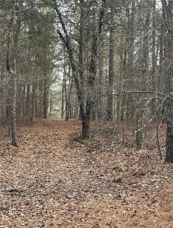other for sale at 3744 Morton Bend Road, Rome, GA 30161 — photo 3
