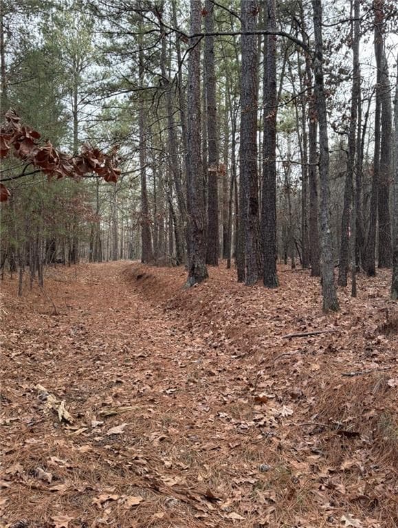 other for sale at 3744 Morton Bend Road, Rome, GA 30161 — photo 4