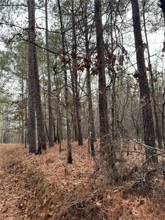 other for sale at 3744 Morton Bend Road, Rome, GA 30161 — photo 5