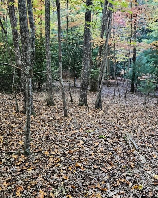 other for sale at 5 Goldmine Road, Morganton, GA 30560 — photo 5