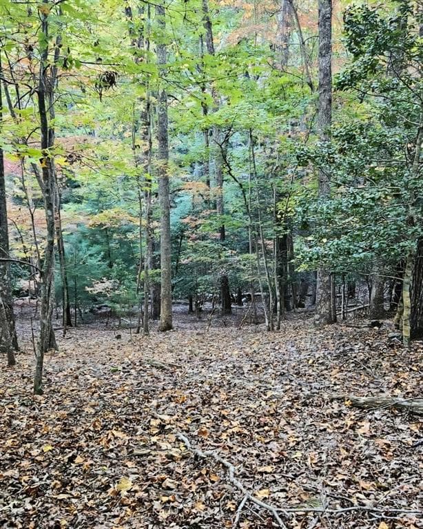 other for sale at 5 Goldmine Road, Morganton, GA 30560 — photo 6