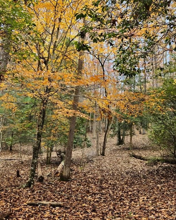 other for sale at 5 Goldmine Road, Morganton, GA 30560 — photo 8
