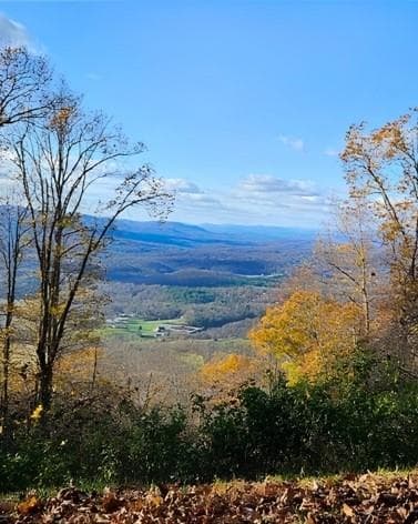 other for sale at 5 Rocky Knob, Young Harris, GA 30582 — photo 2
