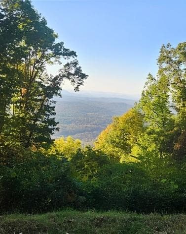 other for sale at 5 Rocky Knob, Young Harris, GA 30582 — photo 4