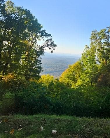 other for sale at 5 Rocky Knob, Young Harris, GA 30582 — photo 5