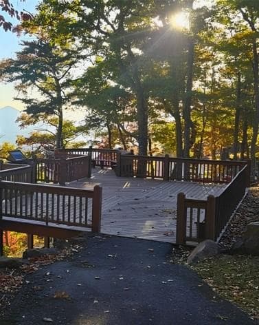 other for sale at 5 Rocky Knob, Young Harris, GA 30582 — photo 8