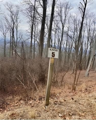 other for sale at 5 Rocky Knob, Young Harris, GA 30582 — photo 3