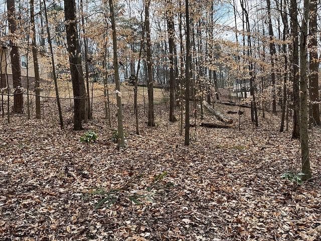 single family residence for sale at 00 Duke Street, Canton, GA 30114 — photo 3
