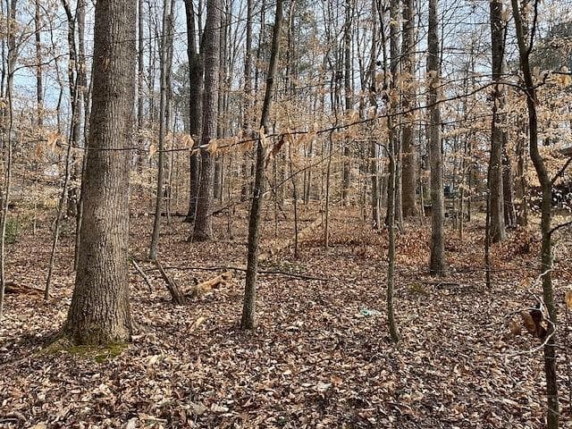 single family residence for sale at 00 Duke Street, Canton, GA 30114 — photo 4