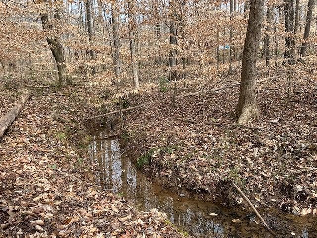 single family residence for sale at 00 Duke Street, Canton, GA 30114 — photo 5