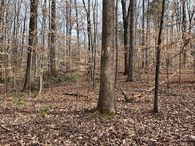 single family residence for sale at 00 Duke Street, Canton, GA 30114 — photo 6