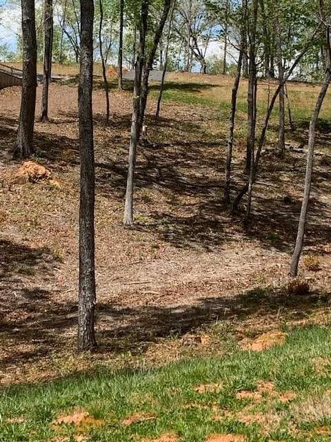 single family residence for sale at LOT #6 Lake Top, Ellijay, GA 30540 — photo 2