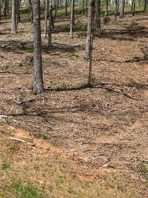 single family residence for sale at LOT #6 Lake Top, Ellijay, GA 30540 — photo 3