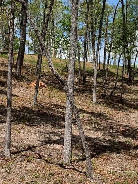 single family residence for sale at LOT #6 Lake Top, Ellijay, GA 30540 — photo 4
