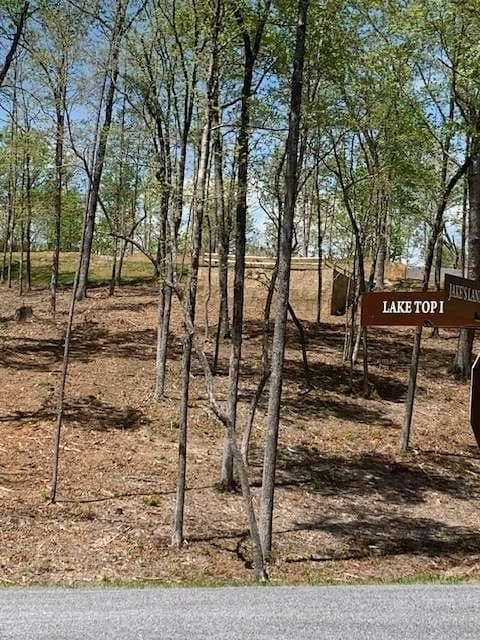 single family residence for sale at LOT #6 Lake Top, Ellijay, GA 30540 — photo 5