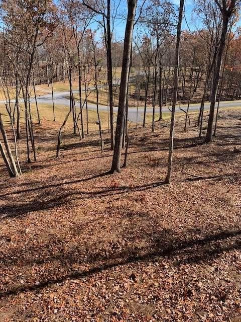 single family residence for sale at LOT #6 Lake Top, Ellijay, GA 30540 — photo 6