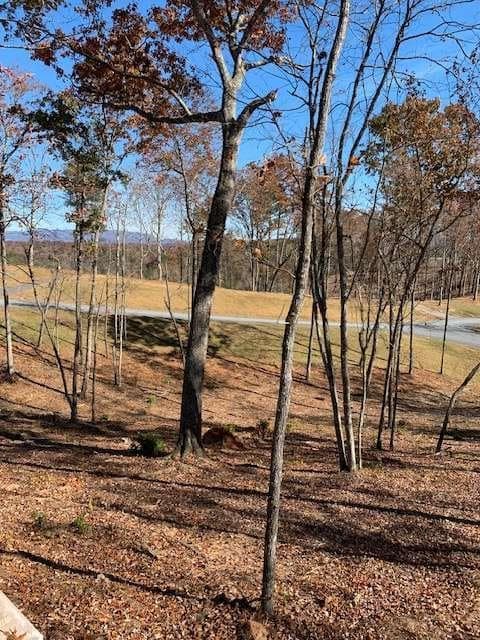 single family residence for sale at LOT #6 Lake Top, Ellijay, GA 30540 — photo 7