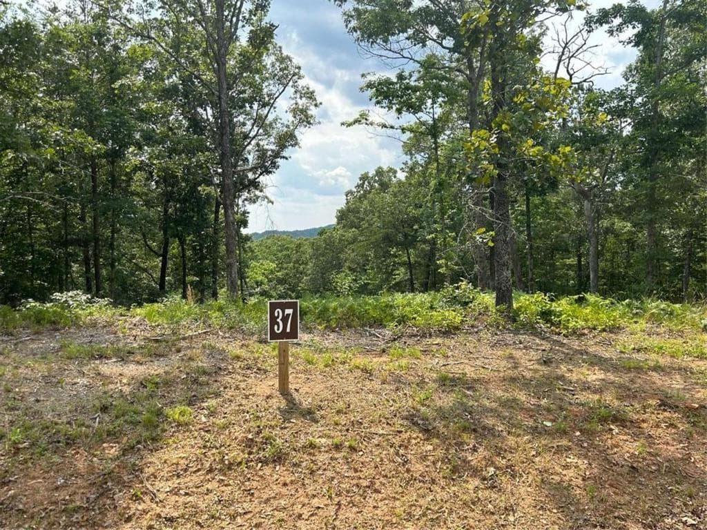 single family residence for sale at 37 Blalock Mountain Road, Ellijay, GA 30540 — photo 6