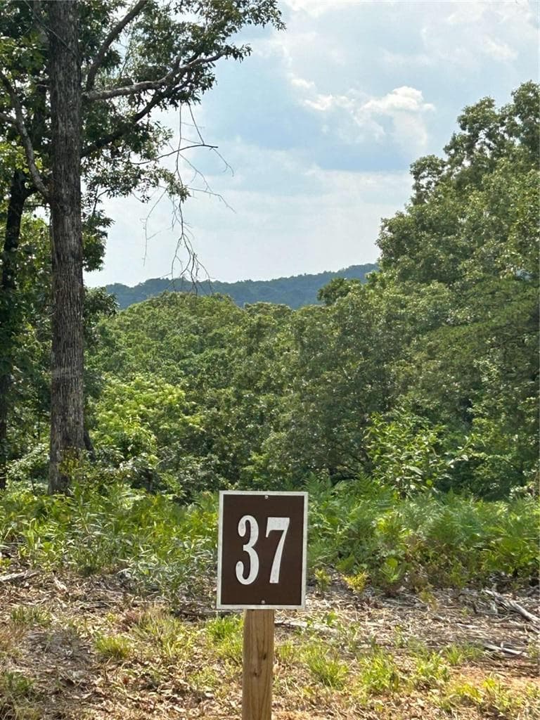 single family residence for sale at 37 Blalock Mountain Road, Ellijay, GA 30540 — photo 7