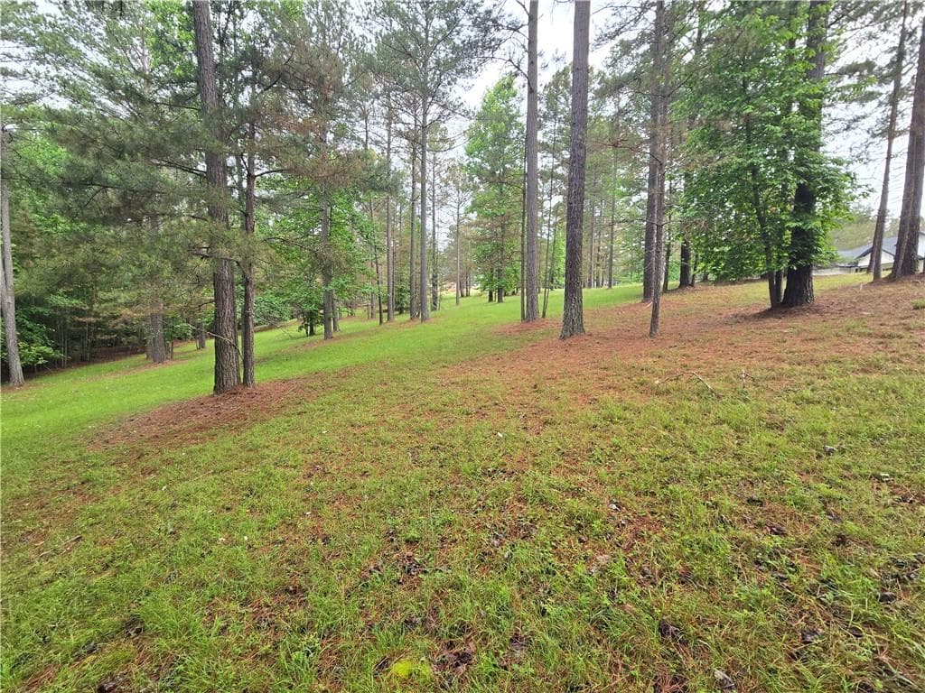 single family residence for sale at 0 Sweetwater Lane, Blairsville, GA 30512 — photo 5