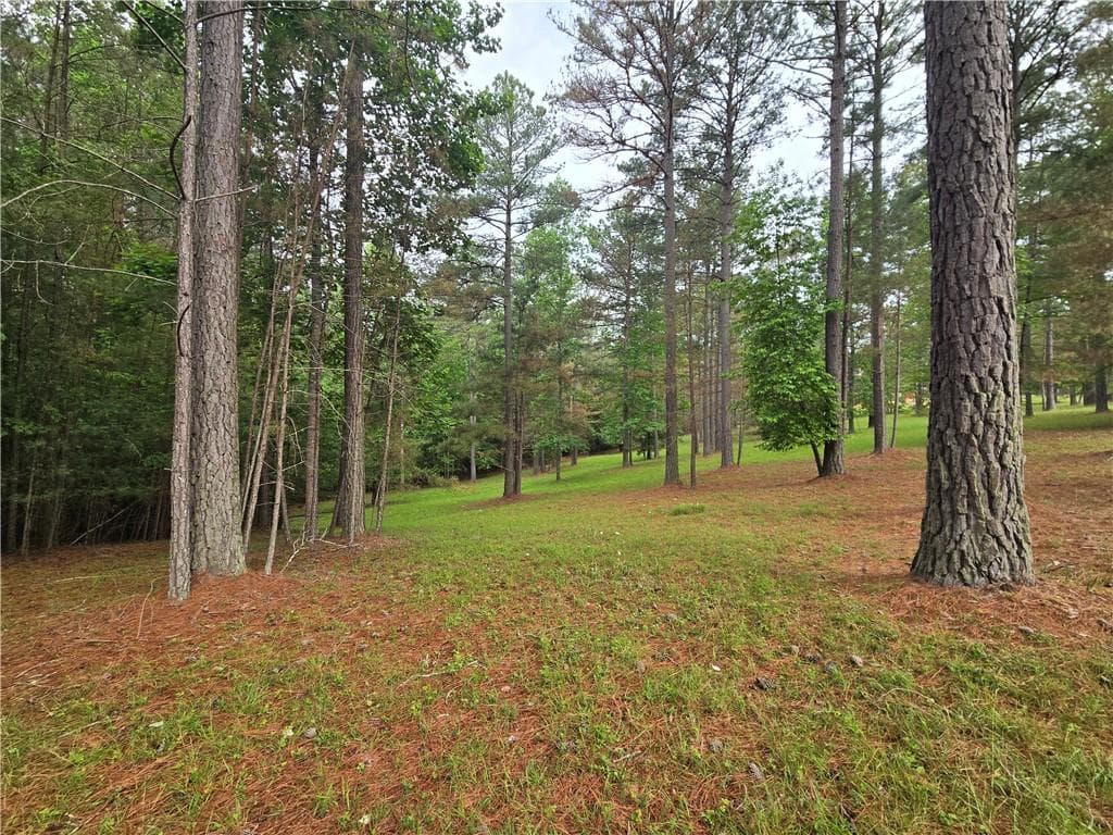 single family residence for sale at 0 Sweetwater Lane, Blairsville, GA 30512 — photo 6
